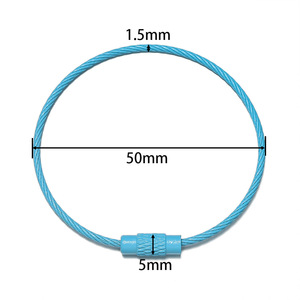Wire <b>Rings</b> Keychain <b>Accessories</b> Colorful Stainless Steel Portable Summer Candy Colors Large Keychains Retail Wholesale - Product Image 2