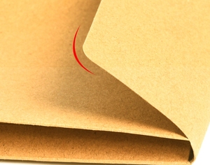 Factory Sells Free Design and Typesetting Important <strong>Documents</strong> Directly <strong>File</strong> Paper Bag Paper Envelope Bags With Logo - Product Image 5