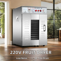 IRISLEE 220V Elektrische Gecertificeerde Fruit- en Groentebestrijkmachine Industriële Voedselverwerkingsdroger 12 Bakken 5kW 3-Jaar Garantie