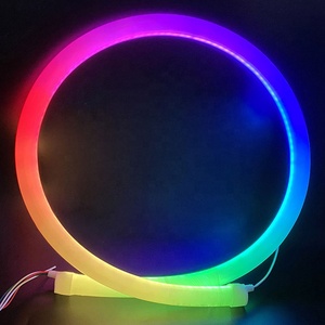 25mm đường kính <span class=keywords><strong>360</strong></span> độ IP67 không thấm nước <span class=keywords><strong>LED</strong></span> Neon Flex dây ánh sáng 24V 5m Neon dải cho trang trí ngoài trời Red CCT - Product Image 3