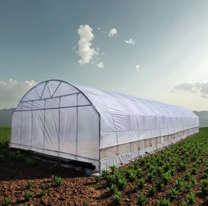 Grande serre <span class=keywords><strong>de</strong></span> jardin, poulailler, couverture en <span class=keywords><strong>film</strong></span> PE transparent, structure stable, équipement agricole - Product Image 2