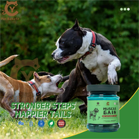 Soutien Musculaire pour Animaux de Compagnie : Friandises à Croquer Riches en Protéines pour la Prise de Masse Musculaire, BCAA, Arginine, Glutamine – Personnalisation OEM/ODM, Marque Privée