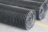 Grilles géotextiles biaxiales en plastique PP 40/40Kn pour l'ingénierie civile, la construction d'asphalte et de routes, et le renforcement des allées