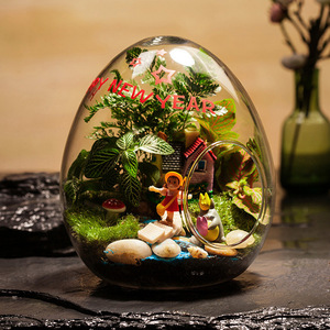 Precio de fábrica DIY Micro paisaje en forma de huevo Plantas en maceta Oficina creativa Micro paisaje para Año Nuevo Boda Nueva llegada - Product Image 6