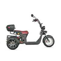 Scooter électrique pliable à trois roues intelligent GPS étanche Loyal CE 60V 4000W avec une vitesse maximale de 50 km/h