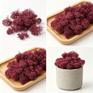 Kit Fai-da-Te per Muschio Eterno con Fiori Veri Essiccati - Terrari Creativi per <span class=keywords><strong>Micro</strong></span> Paesaggi, Decorazioni Artigianali per Interni/Esterni - Product Image 5