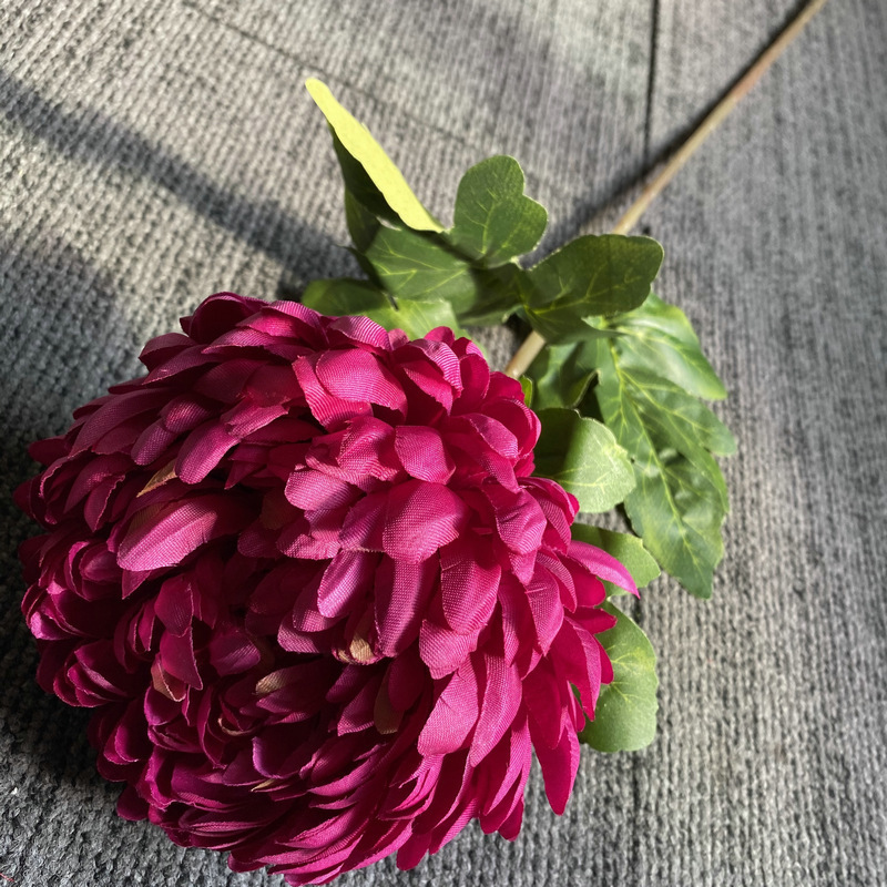Deep Rose