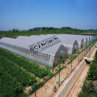 Serre de jardin en PE à double couche, petite, à simple travée, tunnel haut, accessible, avec isolation thermique et protection contre la pluie, pour légumes et fruits