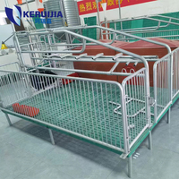 Cage de mise bas pour porcs double, de qualité garantie, équipement d'élevage porcin, boîte de mise bas, cage de mise bas
