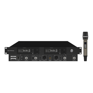 Système de micro sans fil double canal à distance avec sortie XLR et écran LCD pour karaoké et système de sonorisation - Product Image 4