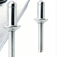 Rivets aveugles en acier inoxydable 304 personnalisés non standard pour l'industrie des équipements à énergie nouvelle