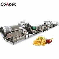 Machine de transformation de frites et de chips de pommes de terre CoApex, solution clé en main, acier inoxydable 304 de qualité alimentaire, automatique, 50-500 kg/h