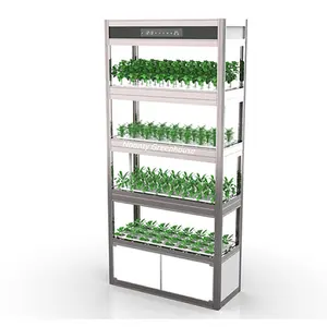Étagère de culture de légumes intelligente, Machine de plantation hydroponique verticale, à domicile, 2020