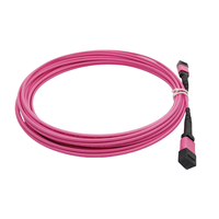 Fábrica MPO/2/M 12 núcleos multimodo OM4 tipo B Personalizado 1M 2M 10M 20M 30M fibra óptica MPO Patch Cord MTP