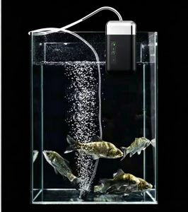 <span class=keywords><strong>Pompe</strong></span> à <span class=keywords><strong>air</strong></span> d'aquarium à induction basse pression 2000 mAh, rechargeable par USB, à économie d'énergie, <span class=keywords><strong>a</strong></span>érateur portable pour <span class=keywords><strong>bassin</strong></span>, robinet intelligent pour extérieur - Product Image 6