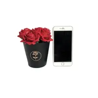 Versatile plastic single rose box Items 