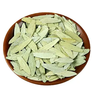 High quality dry natural raw Senna Alexandrina leaves herb tea for lost weight