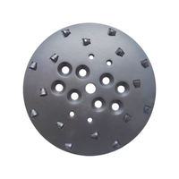 Plaque de meulage diamantée PCD de 250 mm pour la préparation des surfaces en colle époxy, disque abrasif pour meuleuse à tête unique