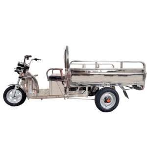 Triciclo de Carga, Triciclo Eléctrico de Alta Eficiencia, Nuevo Triciclo Eléctrico al por Mayor, Motocicleta Triciclo Eléctrica de 850W-1000w, Triciclo de 3 Ruedas - Product Image 1