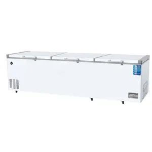 2000L Foam door chest display freezer ice cream freezer supermarket equipment display refrigerator top freezer