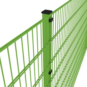 High Quality 2d Double Wire Fence 656 868 Mesh Fence Panel Powder Coated