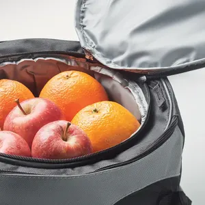 Sac isotherme DONAU avec barbecue, gadgets personnalisés - Product Image 1