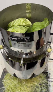 Déchiqueteuse électrique en acier inoxydable à vente chaude pour les usines de transformation des légumes - Moteur à haut rendement, respectueux de l'environnement - Product Image 5