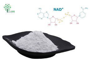 Poudre de NAD+ de qualité alimentaire, <span class=keywords><strong>Beta</strong></span> Nicotinamide Adénine Dinucléotide, 99%, en vrac, CAS 53-84-9 - Product Image 1
