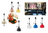 Equipement de cuisine Lampe chauffante pour aliments suspendue Lampe chauffante pour aliments pour buffet coloré électrique pour restaurant
