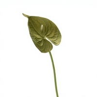 Bunga Anthurium Hijau Artificial PU Real Touch Tangkai Tunggal Bunga Flamingo Palsu untuk Dekorasi Rangkaian Bunga Pernikahan dan Rumah