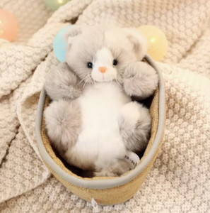 2024 vendita calda disegni popolari gatto peloso In cesto giocattoli di peluche peluche peluche giocattoli pezza gattino personalizzato per la decorazione della stanza - Product Image 5