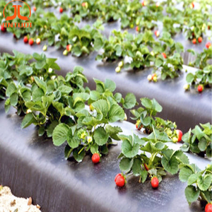 Factory wholesale high quality agricultural mulch film polyethylene plastic film ldpe plastic film scrap