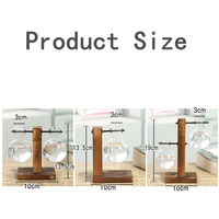 Décoration de maison bouteille en verre pour plantes Terrarium vase de table en verre à ampoule transparente avec support en bois pour plantes hydroponiques