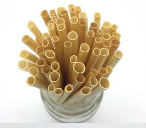 Thân Thiện Với Môi Phân Hủy Sinh Học Lúa Mì Và Gạo Uống Ống Hút Tự Nhiên Thanh Phụ Kiện - Product Image 5