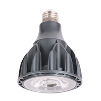 Aluminium finition noire 15/24/36/60 degrés CRI98 3000K 6000K E27/E26 à spectre complet Par30 ampoule LED 30 watts
