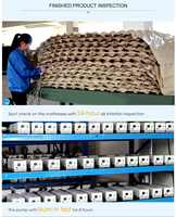 Matelas médical à bulles anti-escarres avec pompe gonflable portable pour les soins quotidiens