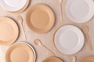 High Speed <strong>Disposable</strong> Paper Plate Folding <strong>Machine</strong> with PLC Bearing Motor &amp; Engine-80-140pcs/min 380V - Product Image 3