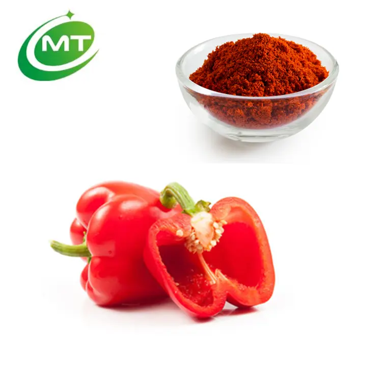 100% di vendita calda naturale prezzo accessibile migliore qualità sfusa campione libero Paprika in polvere per la cottura e condimento