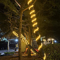 220V IP65 Wasserdichtes PVC Outdoor LED Neon-Seil Flexibler Lichtstreifen Anpassbare Farbe CE-Zertifiziert für Weihnachtsbaum-Dekorationsbeleuchtung