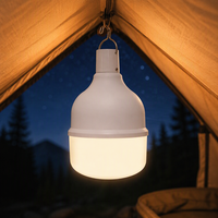 Ampoule LED certifiée T100 DC5V, lampe d'urgence portable rechargeable, alimentée par batterie, charge DC5V