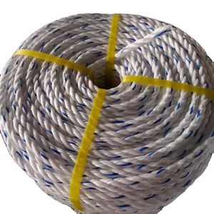 PP Danline Rope Marine Rope Shandong China 3mm-60mm PP Baler Twine Polypropylene Split Film 3 Strands pp Twisted Rope - Product Image 3