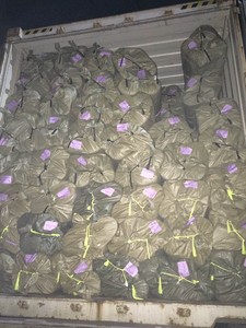 Chất Lượng Cao Thể Thao Vải <span class=keywords><strong>Interlock</strong></span> Polyester Vải Dệt Kim Cho Yoga Đặt Quần Áo Jacquard Vải - Product Image 5