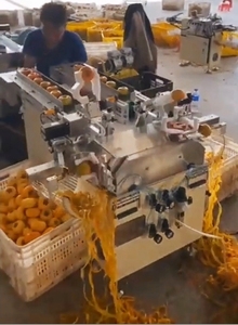 เครื่องปอกเปลือกผลไม้แบบสองสถานี ป้อนผลไม้อัตโนมัติ เครื่องปอกเปลือกผลไม้ไฟฟ้า - Product Image 5