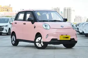 LINGBOX ZWJ Proモデル中国EVカー新エネルギー車大人用