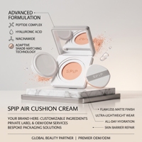 Crème BB CC personnalisée à coussin d'air, fond de teint, soins de la peau, soins personnels, marque de beauté, hydratant, lotion à marque privée, usine OEM ODM