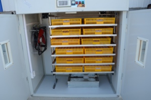 Incubadora de Huevos Automática para Grandes Granjas, Modelo HT-1056, para Agricultores del Mundo - Product Image 6