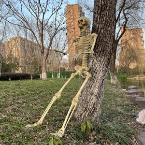 Decoración de Halloween de 60 pulgadas, esqueleto de cuerpo completo con articulaciones protables <span class=keywords><strong>para</strong></span> posar, esqueleto, foto, interior - Product Image 1