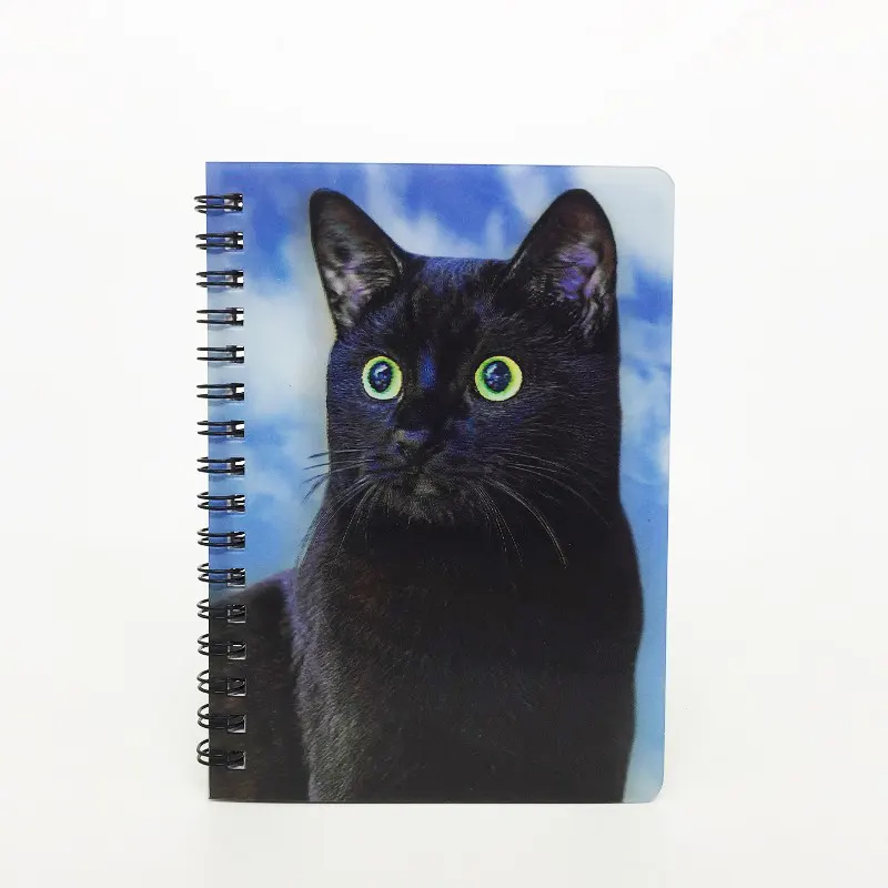 2021 cute 3d cat design notebook student diary notebook soft cover A6 Spiral Note Book Notebook