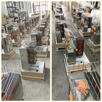 Presse-agrumes automatique pour oranges et citrons frais – Équipement professionnel pour magasins de fruits