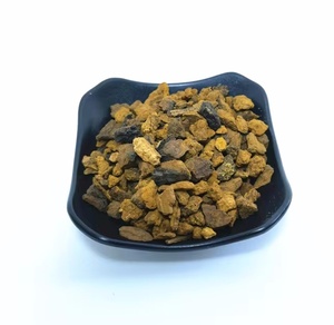 Bai Hua rong nguyên khô nghiền Nấm Chaga cung cấp số lượng lớn với giá rẻ với quá trình sấy quảng cáo - Product Image 4